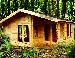 LOG CABINS - Design Options