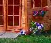 SUMMERHOUSES - Window boxes