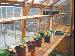 GREENHOUSES - Shelving