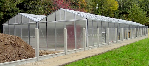 A large commercial greenhouse at Norwich City College